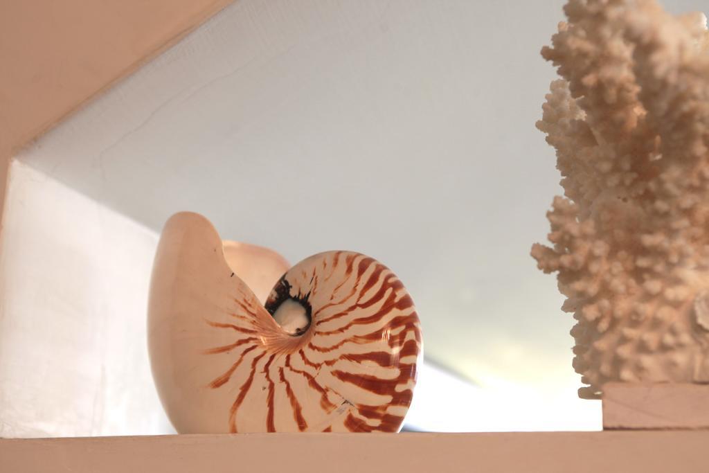 Nautilus Hotel Riccione Exterior photo